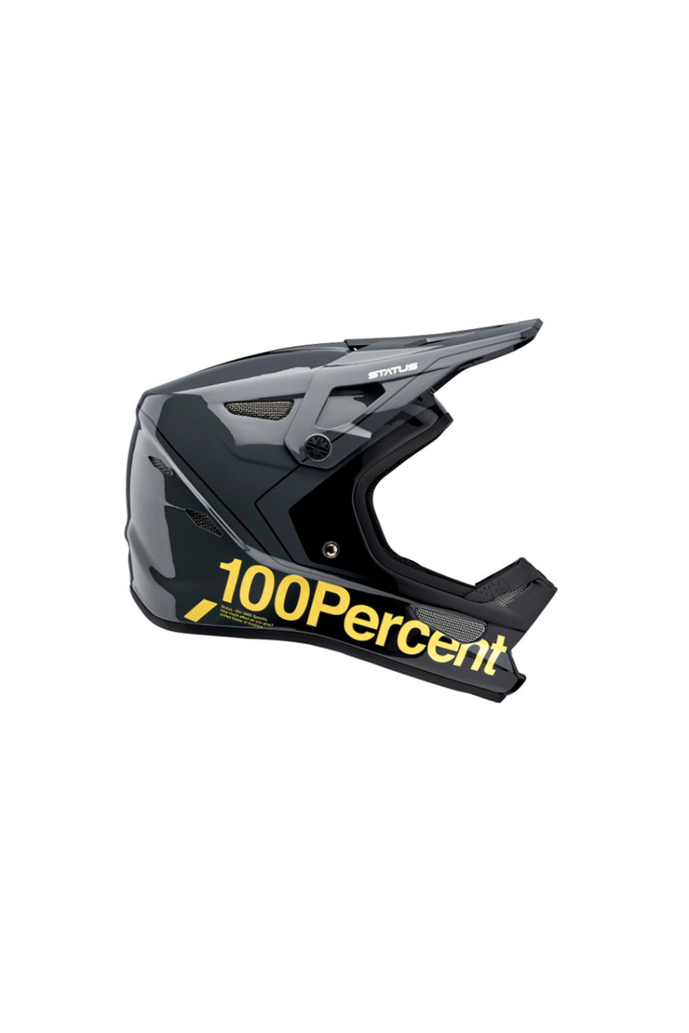 100% Status DH & BMX Helm - Vollvisier